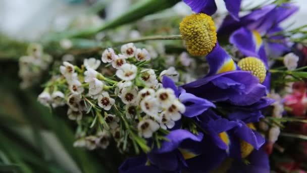 Verbazingwekkende bloemen van ianthine en witte kleur . — Stockvideo