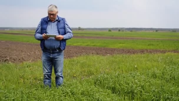 Egy ember, a mező a tablet használata. — Stock videók