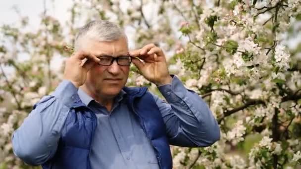 Sénior sério olhando em flores de cereja . — Vídeo de Stock