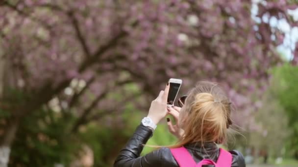 Mooie jongedame maken foto's van bloeiende boom in de straat. — Stockvideo
