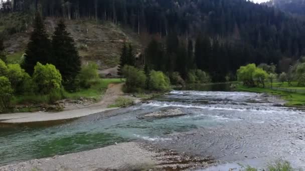 Hermoso paisaje con árboles de montaña y un río en frente — Vídeos de Stock