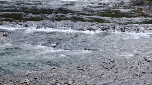 Κοντινό πλάνο ροή νερού με λευκή και διαφανής φυσαλίδες, ποτάμι τρέχει μέσα από ένα φαράγγι — Αρχείο Βίντεο