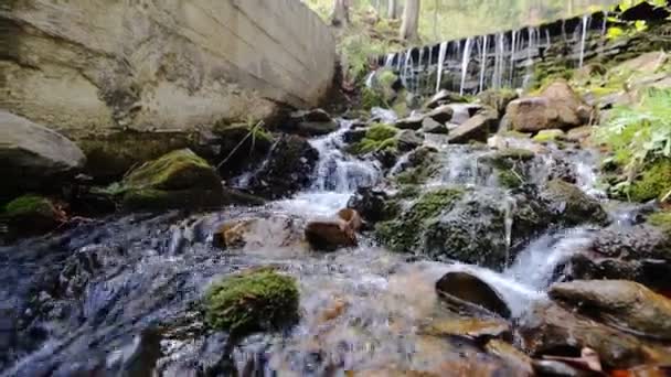 Pequeño arroyo sereno de montaña que fluye sobre piedras en la naturaleza de verano — Vídeos de Stock