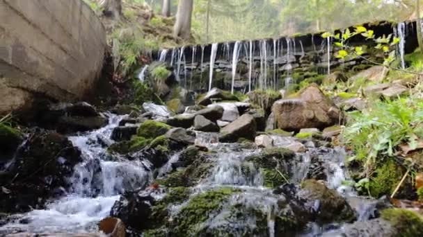 Süßwasserbach mit Wasserfall im grünen Bergwald, Sommerlandschaft — Stockvideo