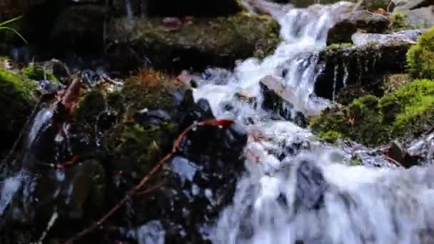 Quellfluss fließt zwischen den bemoosten Felsen, aus nächster Nähe — Stockvideo