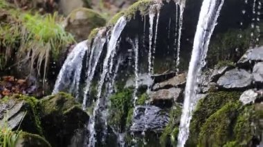 Küçük şelalelere ve doğadaki yeşil bitkilere yakın.