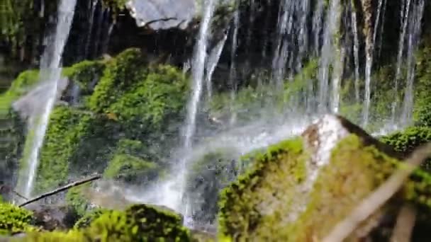 Zblízka pramenité vody, jak to padá a kapky na mech zelený — Stock video