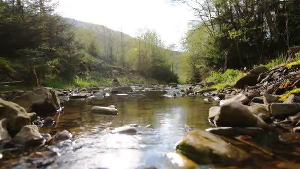 Agua flotando río abajo entre las rocas y el bosque — Vídeo de stock