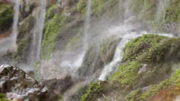 Süßwasserbach mit Wasserfall im Bergwald, hautnah — Stockvideo