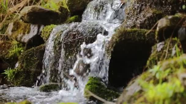 Čisté pitné vody vodopád v lese s kameny a skály vztahuje mech — Stock video