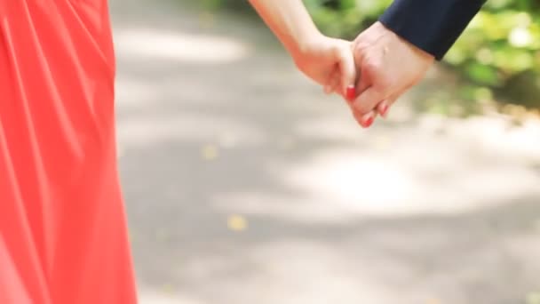 Handhold of a couple walking in the park in slow motion — Stock Video
