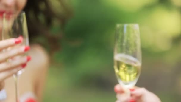 Deux filles acclamant des verres de champagne dans le parc gros plan — Video