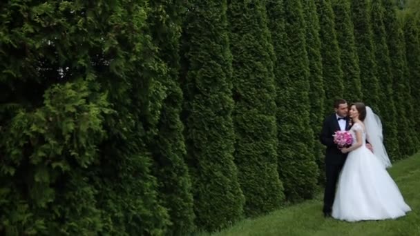 Glückliches Brautpaar umarmt sich im Park, umgeben von grünen Bäumen — Stockvideo