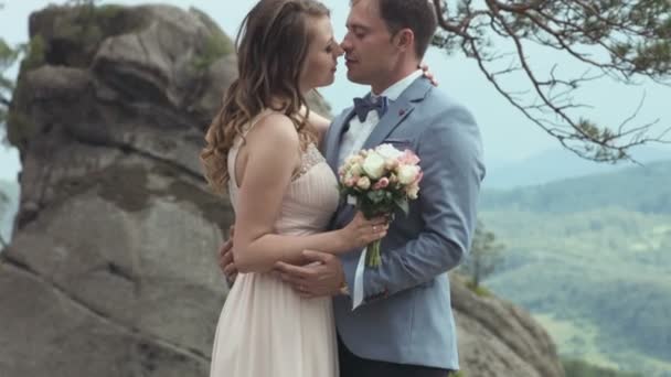 幸福的新婚夫妇在山之上 — 图库视频影像