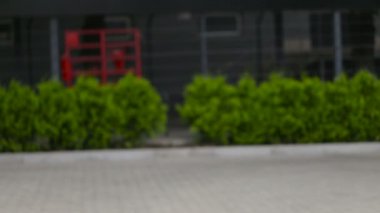 Başarılı iş adamı arabasına doğru hareket.