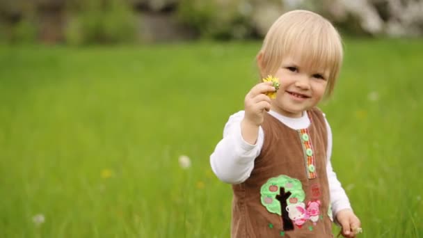 Bedårande liten flicka i söt brun klänning spelar på gräset. — Stockvideo