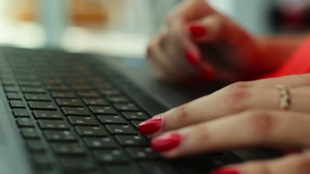 Womens händer att skriva på datorn — Stockvideo