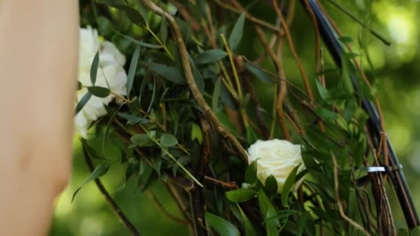 Vrouwelijke handen aanraken van de bloemblaadjes van witte rozen in kiem in park, close-up — Stockvideo