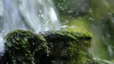 Küçük dere akar moss taş yakın çekim