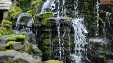 Küçük şelale orman, yosun kaplı kaya