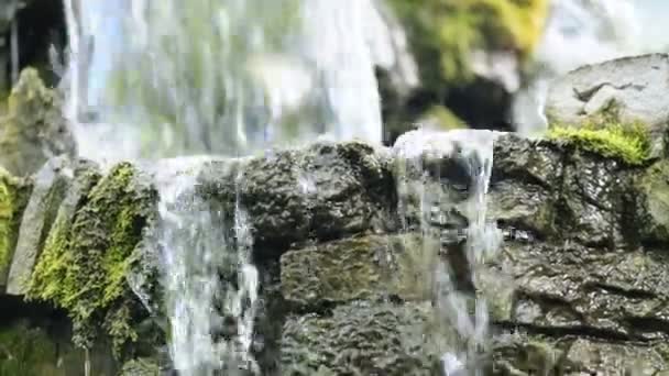 Kleiner Wasserfall im Wald, moosbewachsene Felsen — Stockvideo