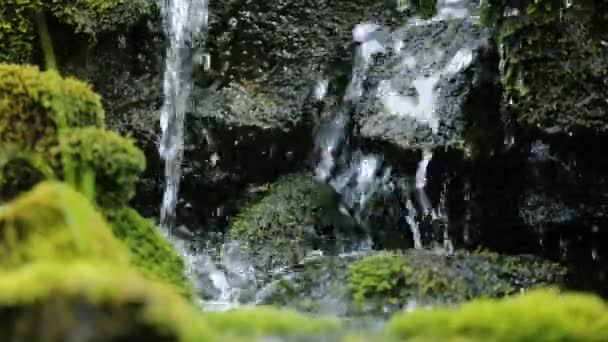 小瀑布在森林里，苔藓覆盖的岩石 — 图库视频影像