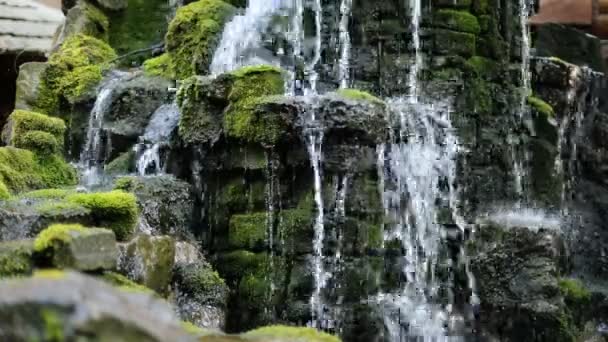 Kleine waterval in het bos, mos bedekt rotsen — Stockvideo