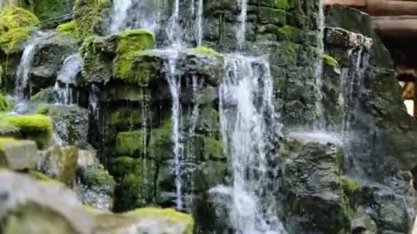 Kleine waterval in het bos, mos bedekt rotsen — Stockvideo