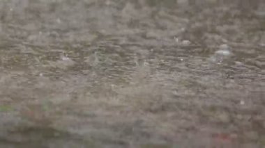 Su Ripples oluşturma su birikintisi içine yağmur damla düşmek