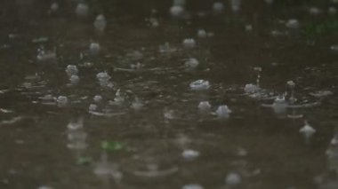 Su Ripples oluşturma su birikintisi içine yağmur damla düşmek