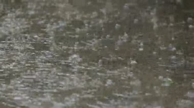 Su Ripples oluşturma su birikintisi içine yağmur damla düşmek