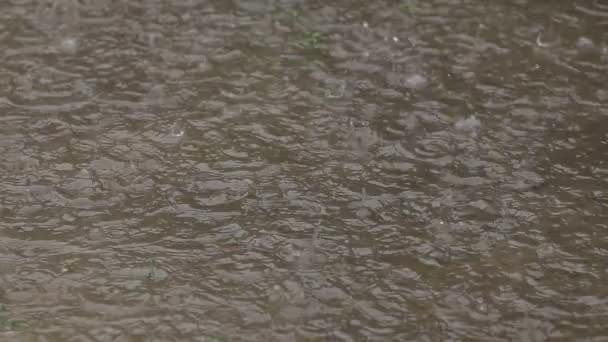 Les gouttes de pluie tombent dans la flaque Créer des ondulations d'eau 