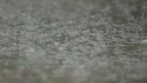 Капли дождя падают в лужу, создавая водяные струи — стоковое видео