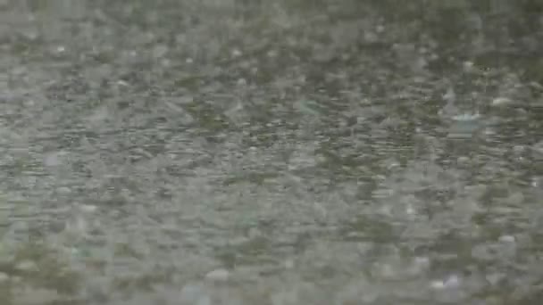 Gotas de lluvia caen en charco creando ondulaciones de agua — Vídeos de Stock