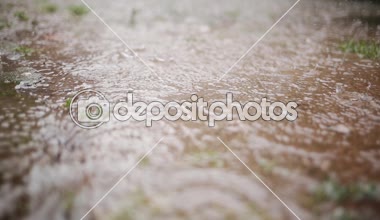 Su Ripples oluşturma su birikintisi içine yağmur damla düşmek