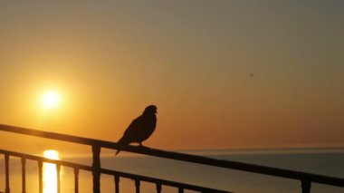 Yavaş hareket gelen sualtı kamera kırma küçük dalga vurulmuş.