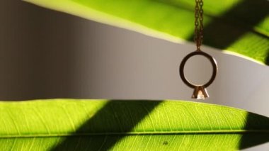 Mücevher altın alyans yeşil yapraklarda. Odak halkası üzerinde yakın çekim