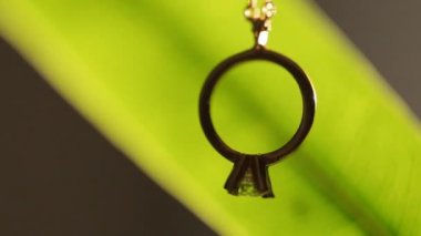 Nişan yüzüğü arasında yeşil eğreltiotu yaprakları, yakın çekim. Altın yüzük üzerinde odaklanmak