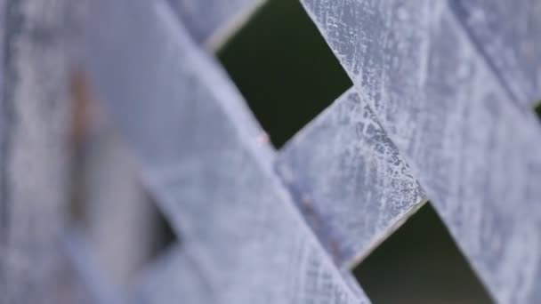 Zon schijnt door een nieuwe zwarte houten hek rond achtertuin, close-up — Stockvideo