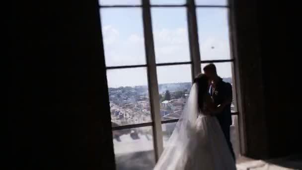 Esküvői. Sziluettek. Újak. Grafika. Menyasszony és a vőlegény, állandó, és csók a profil a háttérben a nagy ablakok — Stock videók