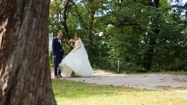 Happy bride and groom walking and holding hands in the park — Stock Video