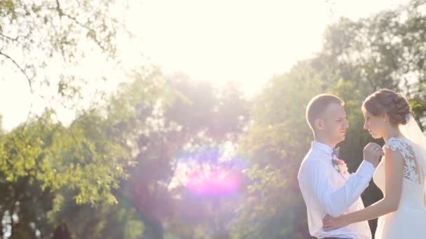 Happy newlyweds rests in green sunny park. Groom lovingly touches his new wifes face — Stock Video