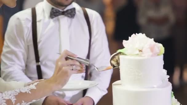 Bella sposa delicata e bello sposo dare ogni altro pezzo di torta alla festa di nozze in sala con luci colorate . — Video Stock