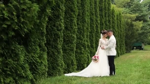 Glücklicher Bräutigam und Braut. glückliches und fröhliches Hochzeitspaar, das zärtliche Gefühle füreinander zeigt. sehr frische und schöne Natur am Drehort. Braut blond. Bräutigam brünett. — Stockvideo