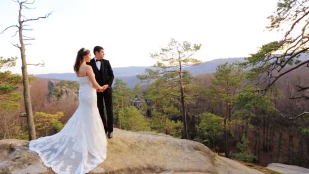 Очаровательная невеста и элегантный жених, обнимающий пейзажи гор и скал — стоковое видео