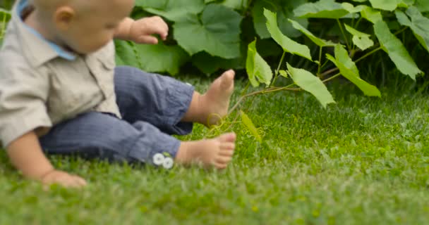 Little toddler boy tried to walk,The one year old cute fair-head boy is making his first steps in green garden — Stock Video