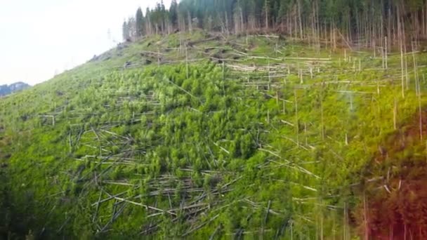 Tatrách, Panorama hor polské v Evropě svátek, Zakopane, Polsko, — Stock video