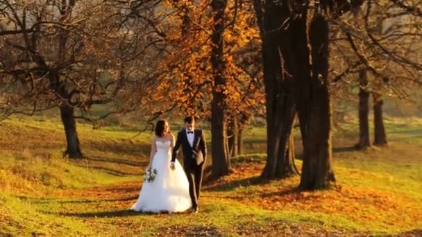 Gli sposi bella giovane coppia che si tiene per mano passeggiando nel parco al tramonto il giorno del loro matrimonio girato al rallentatore da vicino — Video Stock