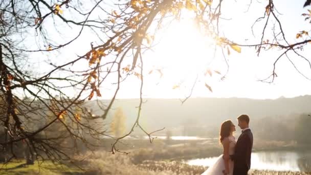 Bella sposa bacia appassionatamente il suo giovane sposo bello nel parco con alberi giallo brillante autunno girato al rallentatore da vicino — Video Stock