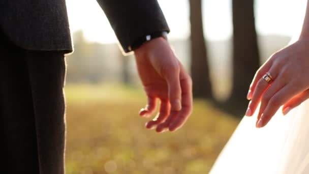 Marry me today and everyday. Newlywed couple holding hands,  shot in slow motion  close up Video Clip